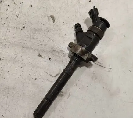 Citroen Berlingo Fuel injector 0445110297