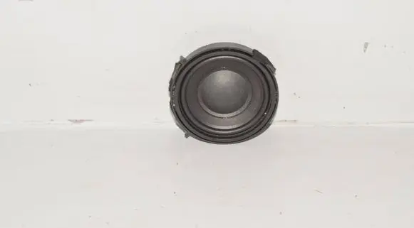 Panel speaker