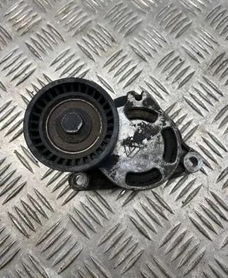 Renault Espace IV Generator/alternator belt tensioner 0802410121