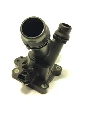 Thermostat/thermostat housing