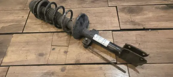 Dacia Duster Rear shock absorber with coil spring 316290 824902008788 30N60A