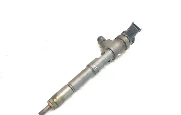 Renault Captur Fuel injector 0445110485 H8201108033