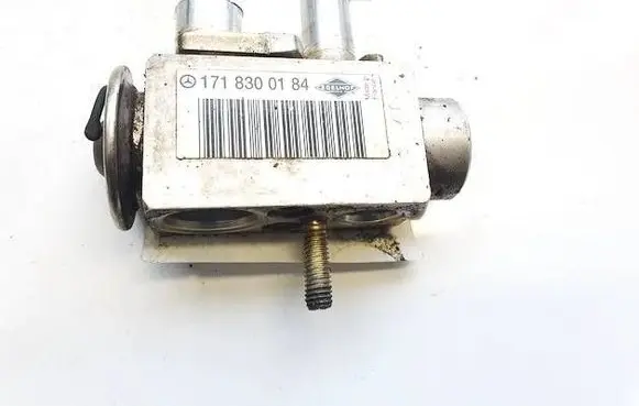 Mercedes-Benz B W245 Air conditioning (A/C) expansion valve 1718300184