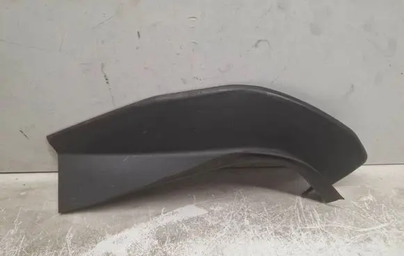 Rear/tail light trim molding