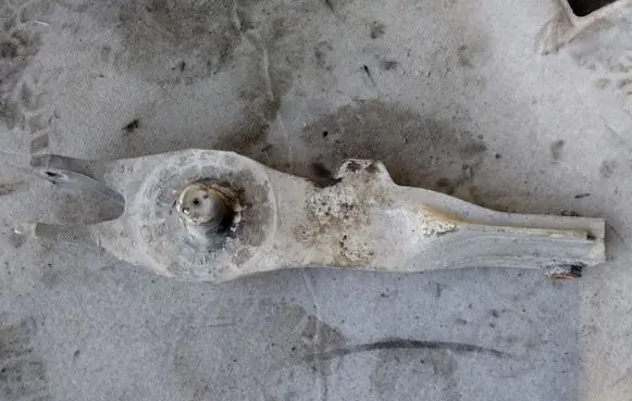 Opel Vectra C Rear upper control arm/wishbone