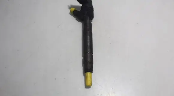 Mercedes-Benz C W203 Fuel injector 0445110025