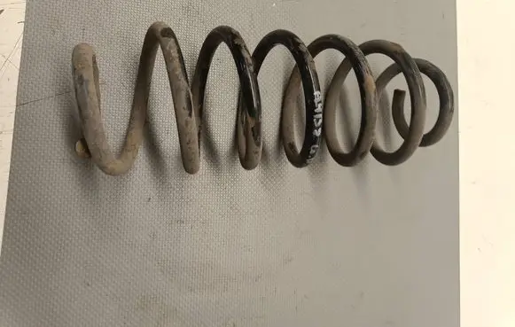 Rear coil spring