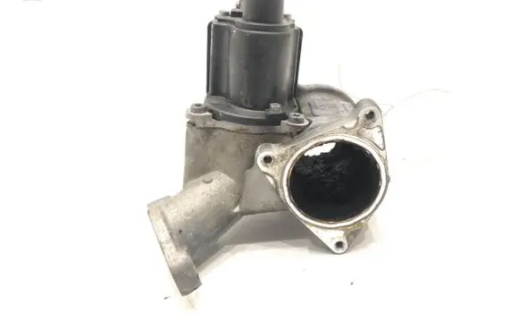 EGR valve