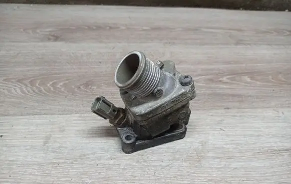 Thermostat/thermostat housing