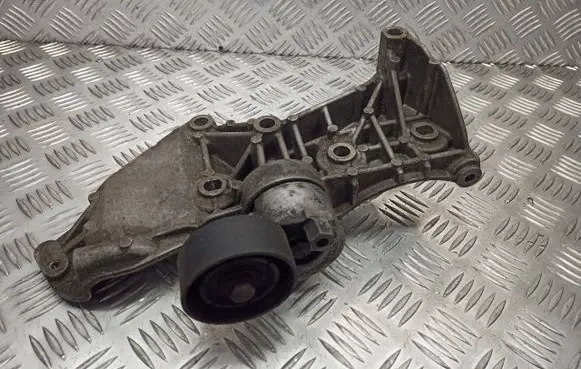 Renault Megane II Alternator belt tensioner pulley 8200048486