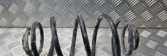 Opel Astra H Rear coil spring