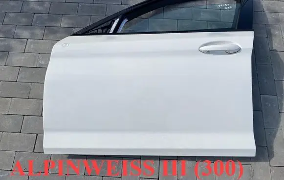 BMW 5 G30 G31 G38 Front door