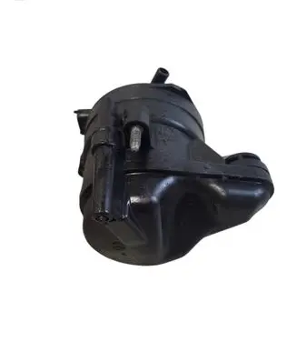 Citroen DS5 Fuel filter 9676133480