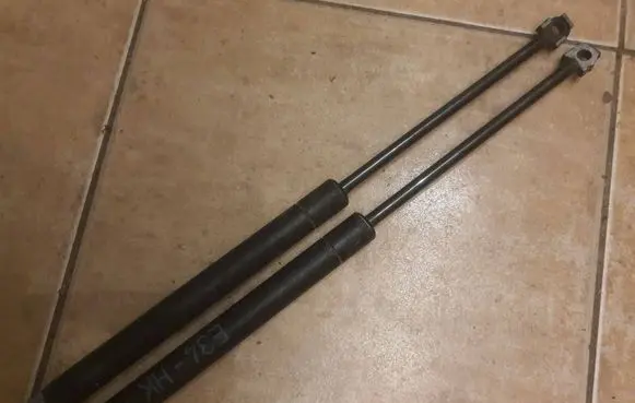 Tailgate/trunk strut/damper