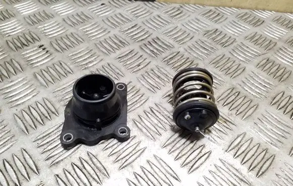 Thermostat/thermostat housing