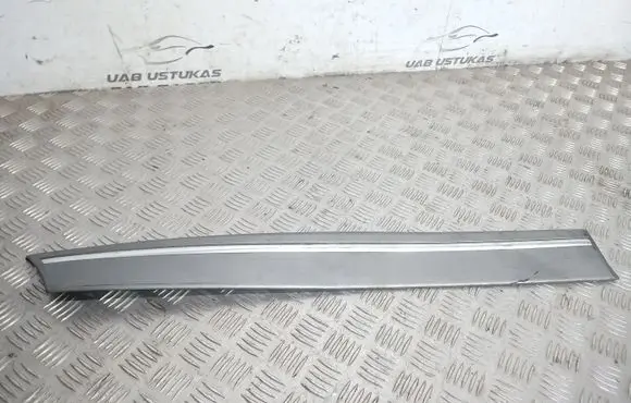 Rear door trim (molding)