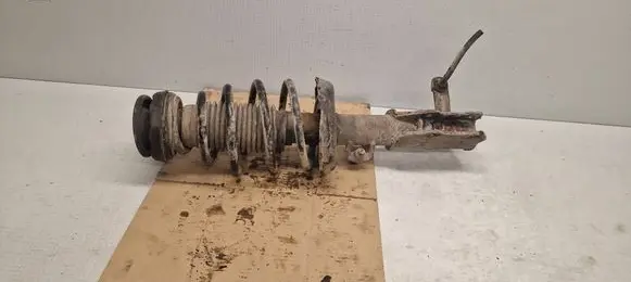 Opel Insignia A Front shock absorber with coil spring