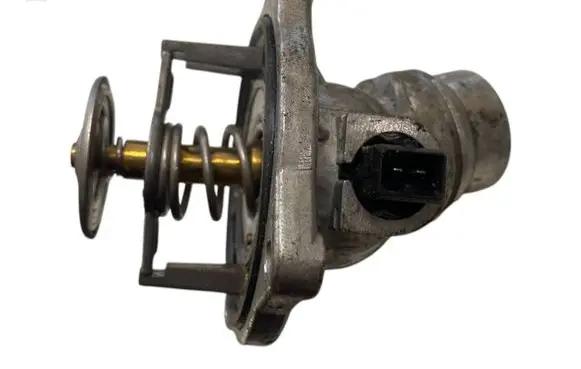 Land Rover Range Rover Sport L320 Thermostat TE6493105J