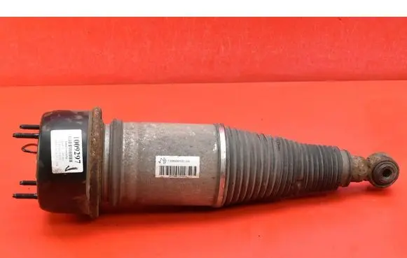 Rear shock absorber/damper