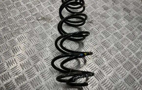 Opel Grandland X Rear coil spring