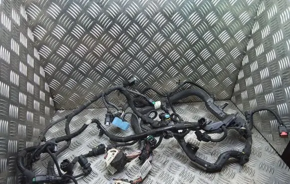 Citroen Berlingo Engine installation wiring loom 9673749980