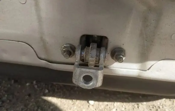 Opel Signum Rear door check strap stopper