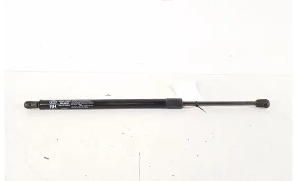 Tailgate strut
