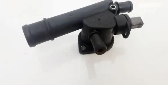 Thermostat/thermostat housing