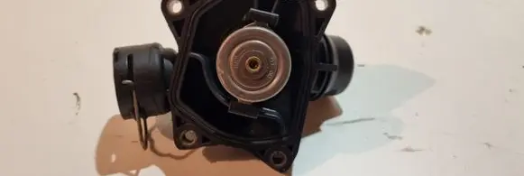 Thermostat/thermostat housing