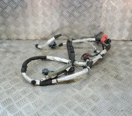 Land Rover Range Rover Sport L494 Other wiring loom KPLA10C307CA