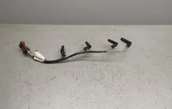 Renault Scenic I Glow plug wires 