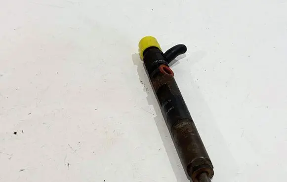 Renault Kangoo II Fuel injectors set 8200815416