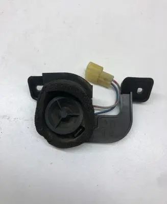 Front door high frequency speaker