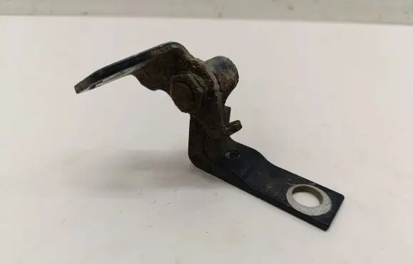 Rear door lower hinge