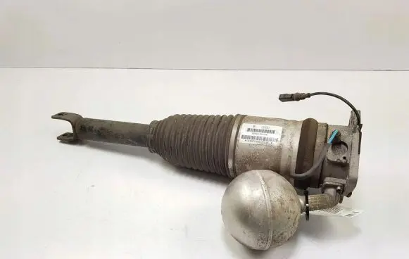 Volkswagen Phaeton Rear shock absorber/damper 3D0616002K
