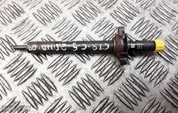 Citroen C5 Fuel injector 9688438580 ejbr06001d
