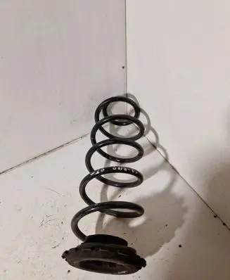 Rear coil spring