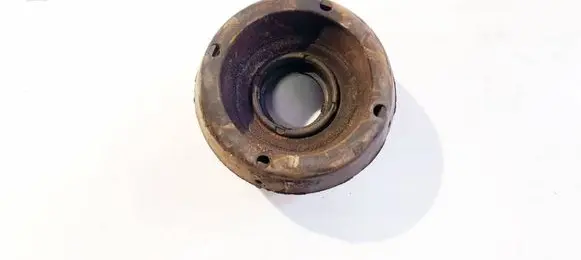 Coil spring mount