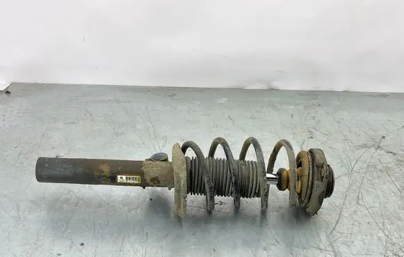 Volkswagen Golf Plus Front shock absorber/damper 1K0413031BF