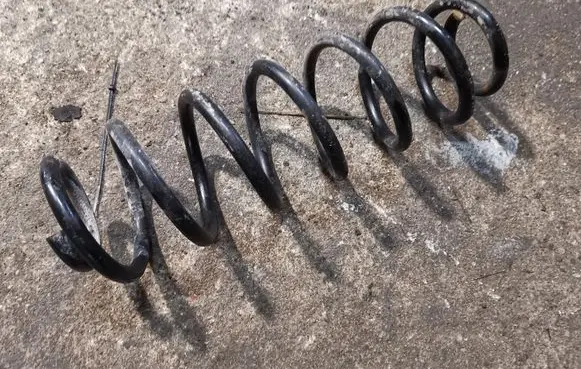 Volkswagen Golf V Rear coil spring