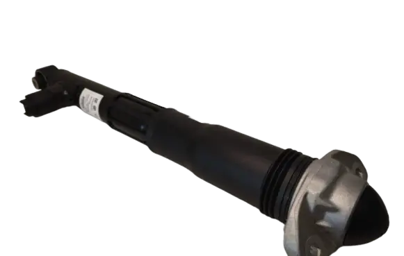 Volkswagen ID.4 Rear shock absorber/damper 1EA512037Q