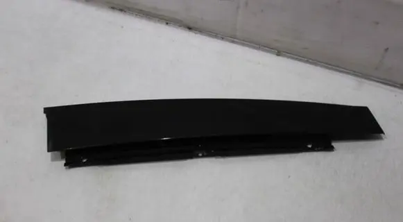 Renault Laguna III Rear door trim (molding)