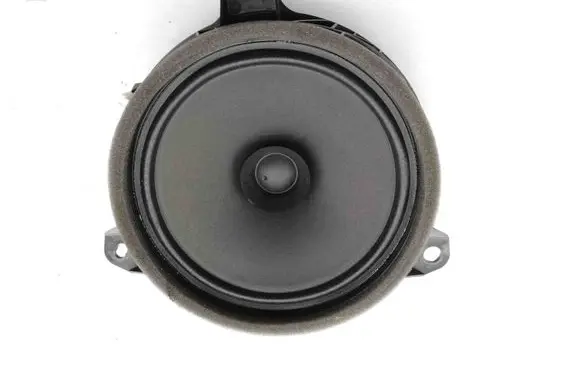 Rear door speaker