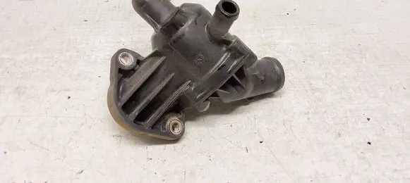 Thermostat/thermostat housing