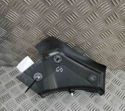 Rear/tail light trim molding