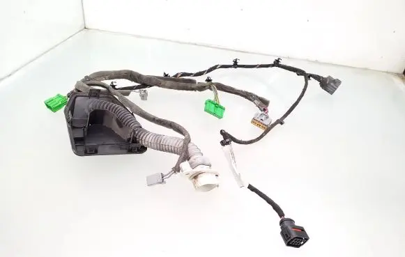 Front door wiring loom