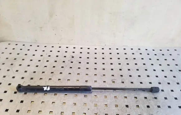 Front bonnet/hood damper/strut