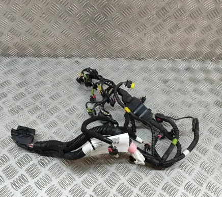 Tesla Model 3 Other wiring loom 206876700C