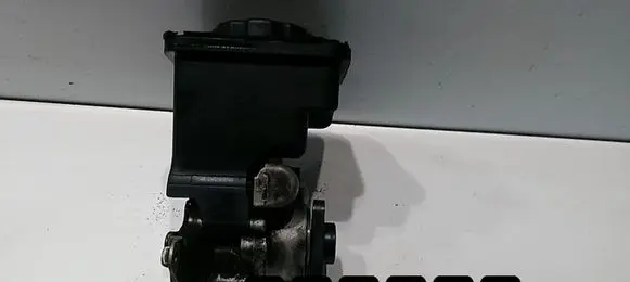 BMW 5 E39 Power steering pump 7691974518
