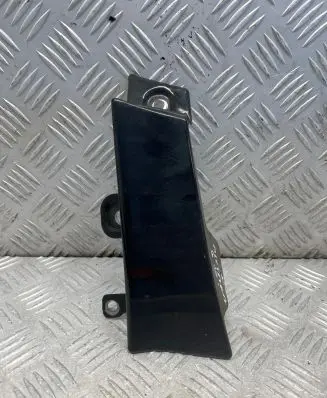 Rear/tail light trim molding
